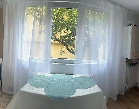 Apartment Andreia