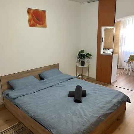 Apartment Andreia Cluj-Napoca