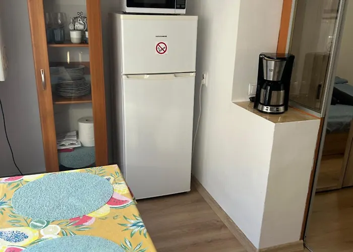 Apartament Andreia